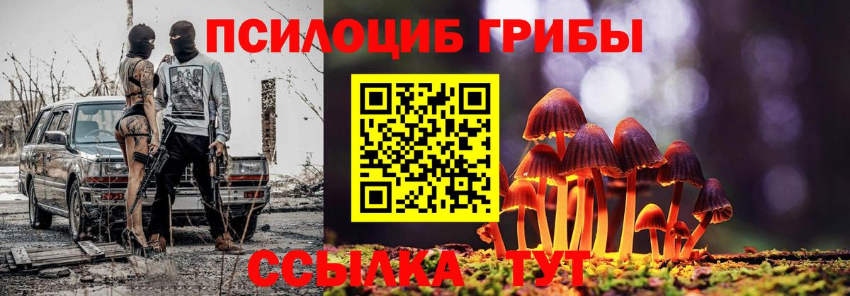 Псилоцибиновые грибы прущие грибы  Вход с VPN  Лосино-Петровский 